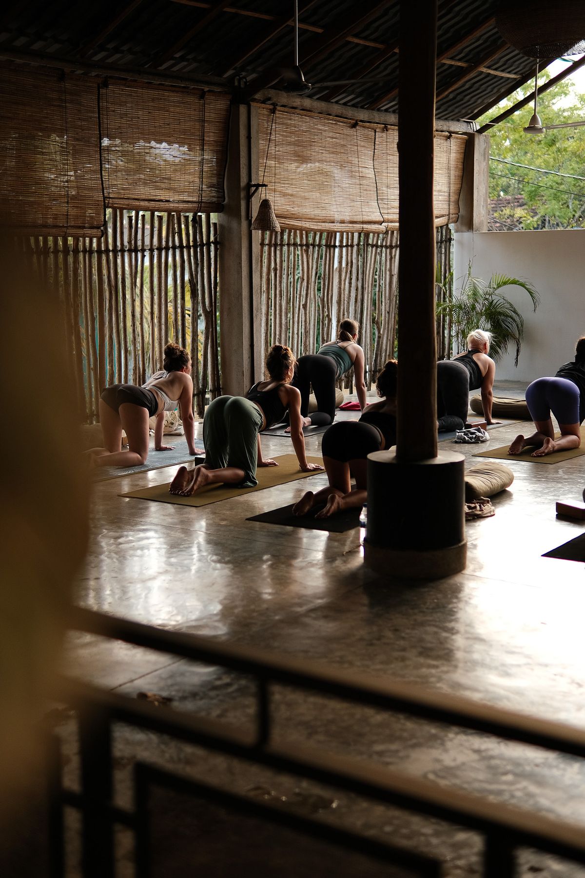 Yoga class in a shala with bamboo blinds, everyone on all fours