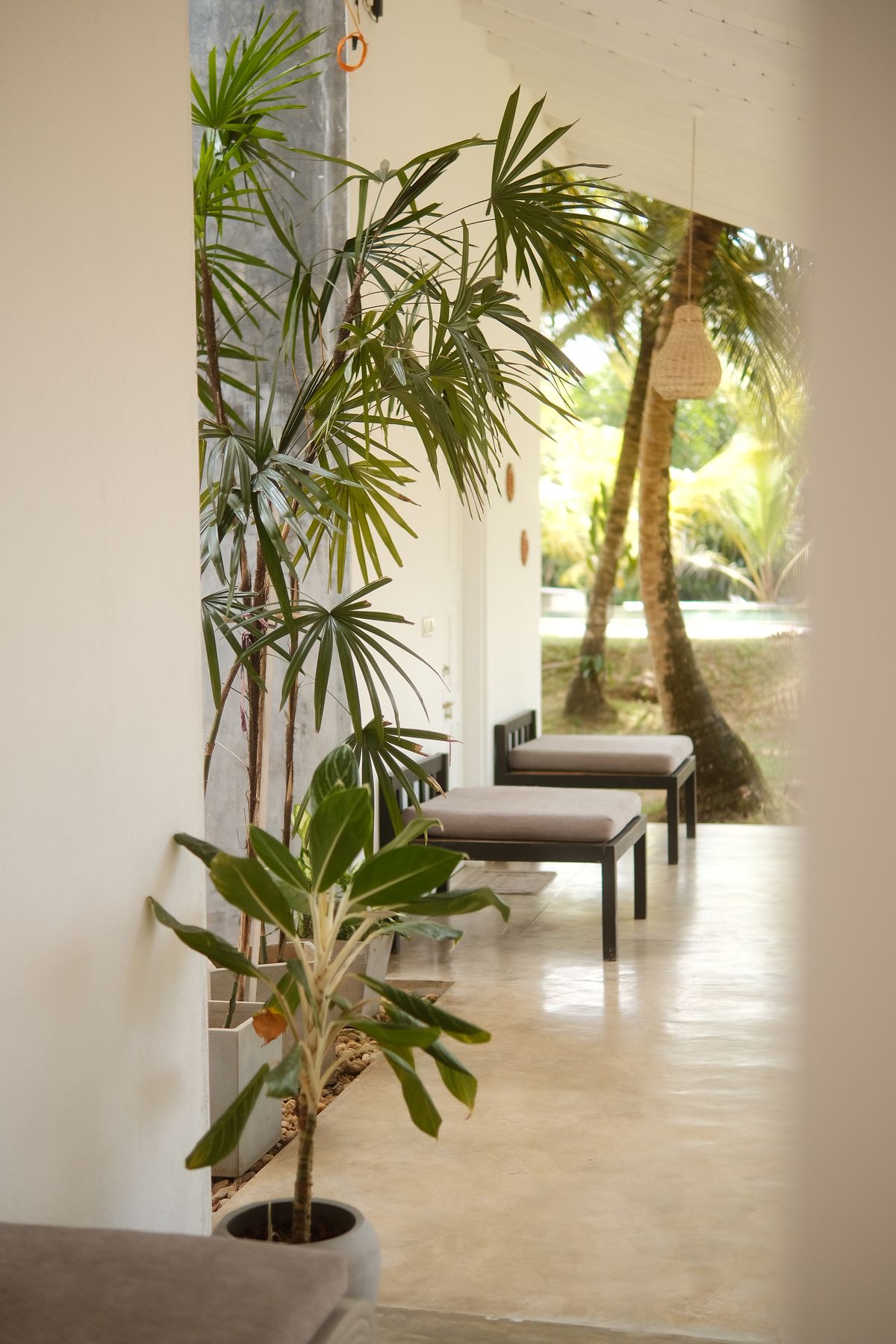Bright villa hallway with palms and a daybed